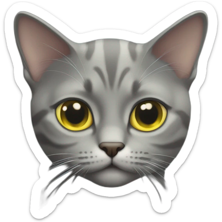 American short hair cat rubby- gray hair-yellow green eyes- The distance between the eyes is relatively far sticker