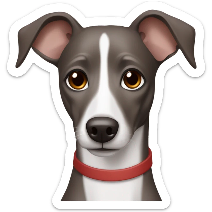 Dark Grey brown Formosa mountain dog and Italian greyhound mix no white in face, dark brown eyes, ears up sticker