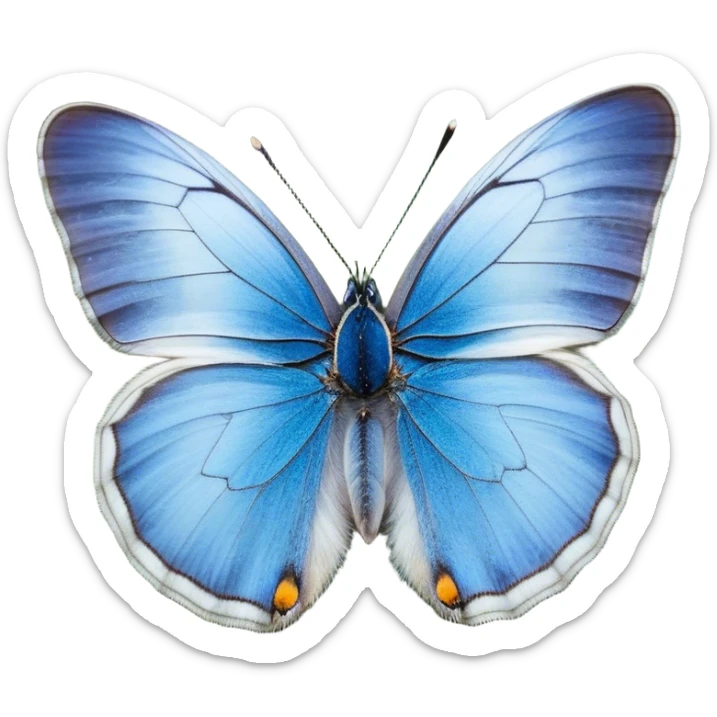 Cinematic Realistic Cute Yawning Blue Butterfly Portrait Emoji, Head tilted slightly with a dramatic, wide-open yawn, showcasing soft, downy sapphire wings with delicate, natural droop and half-closed, drowsy eyes rendered in exquisite detail, high shine, relaxed yet expressive, styled with a dash of subtle garden charm, soft glowing outline, capturing the essence of a sleepy yet affectionate blue butterfly that appears ready to rest its wings in quiet, enchanted slumber! sticker