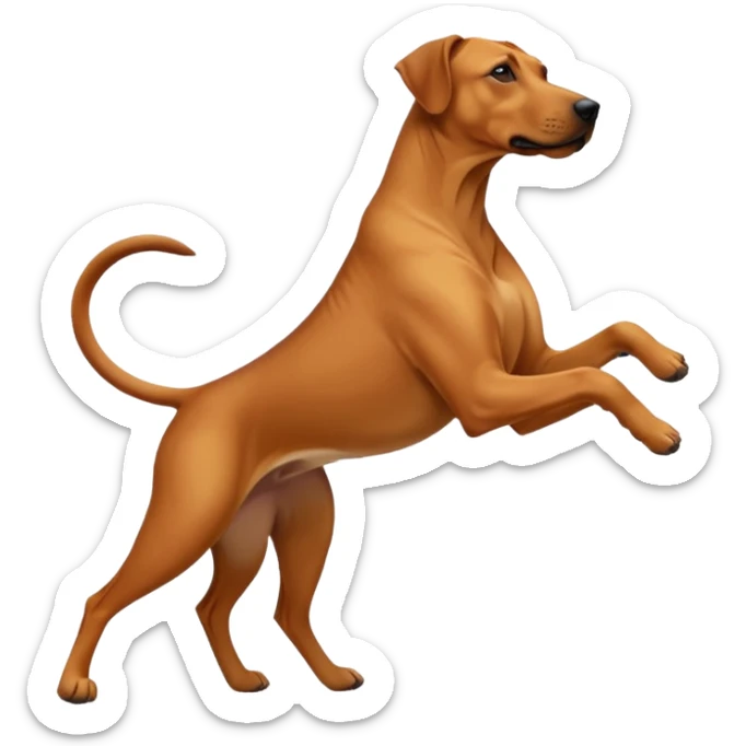 Ein rodisian rideback hund der tanzt  sticker