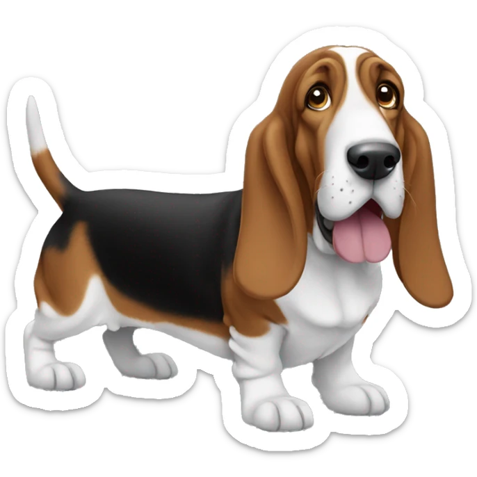 Basset hound sticker