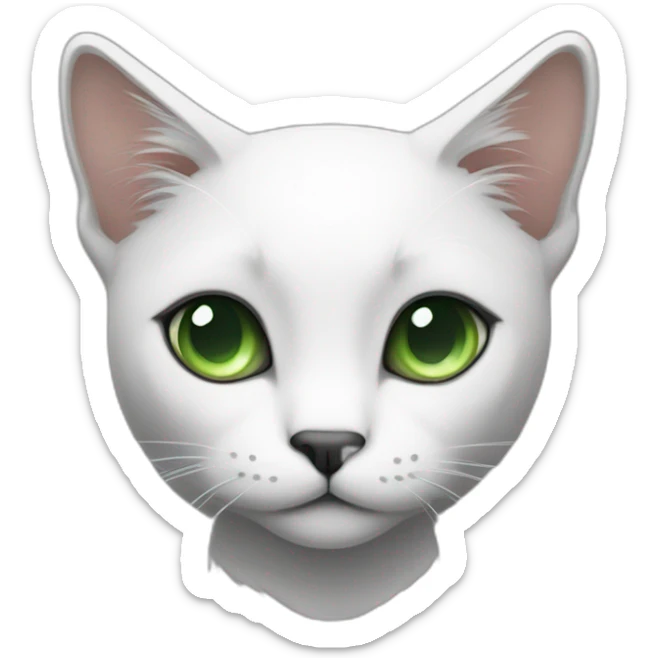 thin cat with black hair on his black and white hair on her belly and a white spot in the middle of her back and green eyes and a white face sticker