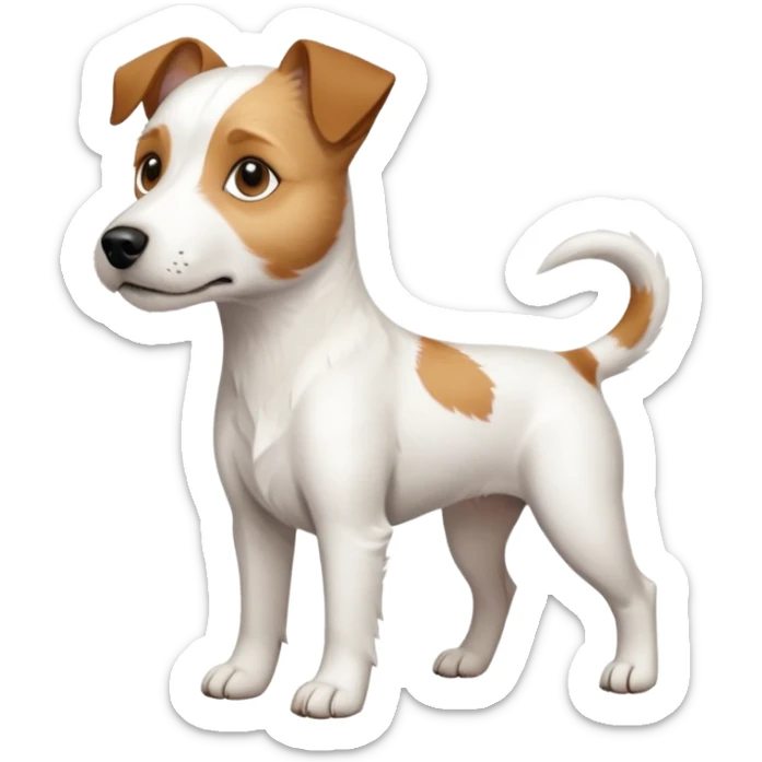 a full body white parson russell looking dog the size of a kelpie with light brown ears and a light brown patch on one eye and a large snout sticker