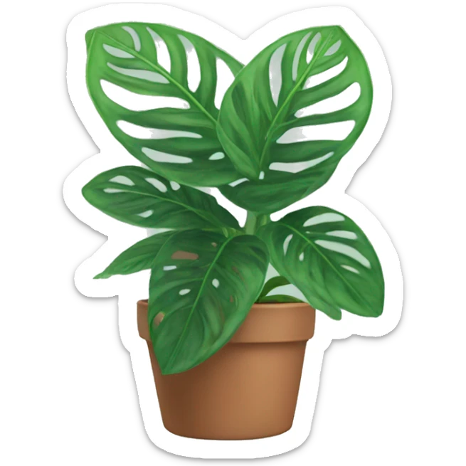 Prayer plant sticker