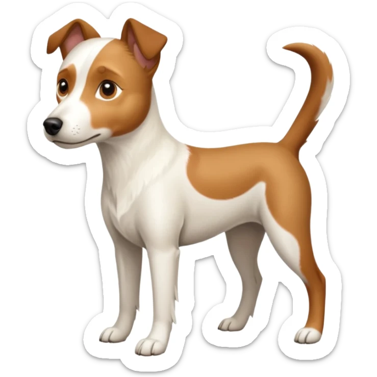 a full body white parson russell looking dog the size of a kelpie with light brown ears and a light brown patch on one eye and a large snout sticker