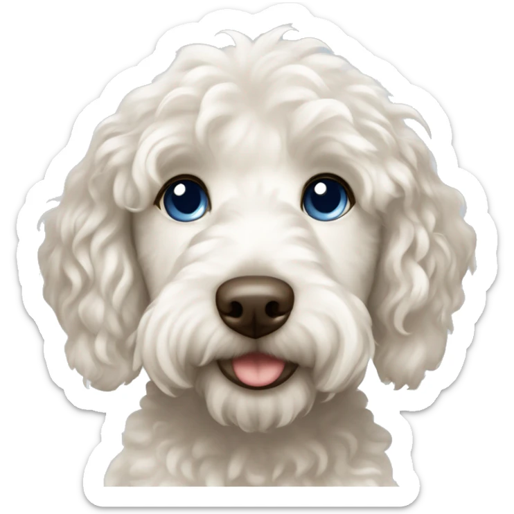 White Labradoodle with dark brown ears and girl with wavy brown hair , blue eyes and light skin sticker
