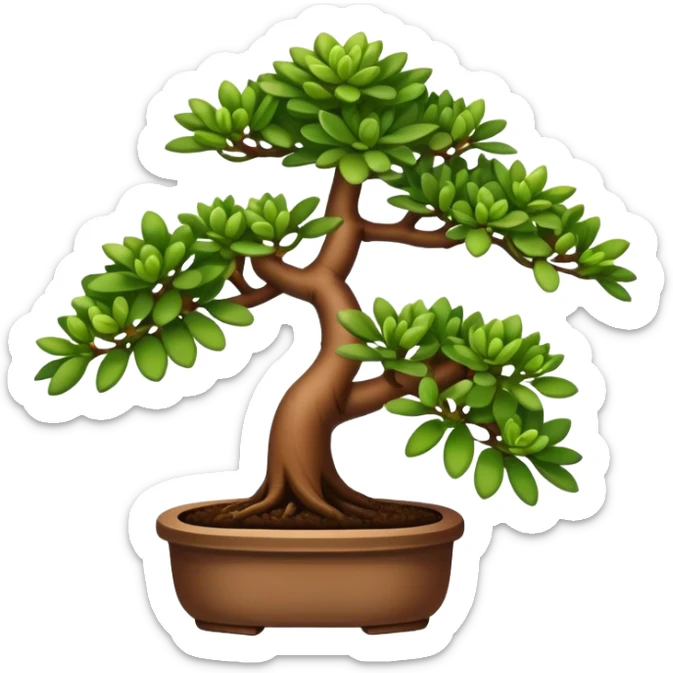 Plant with tubular leaves (Crassula Ovata Golum) with the appearence of a bonsai sticker