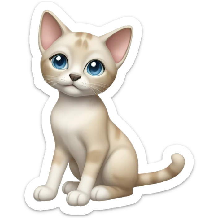 Thai breed adult cat with a light cream-brown body, dark gray nose and face, ears, and paws. sharp ears, and striking light blue eyes  sticker