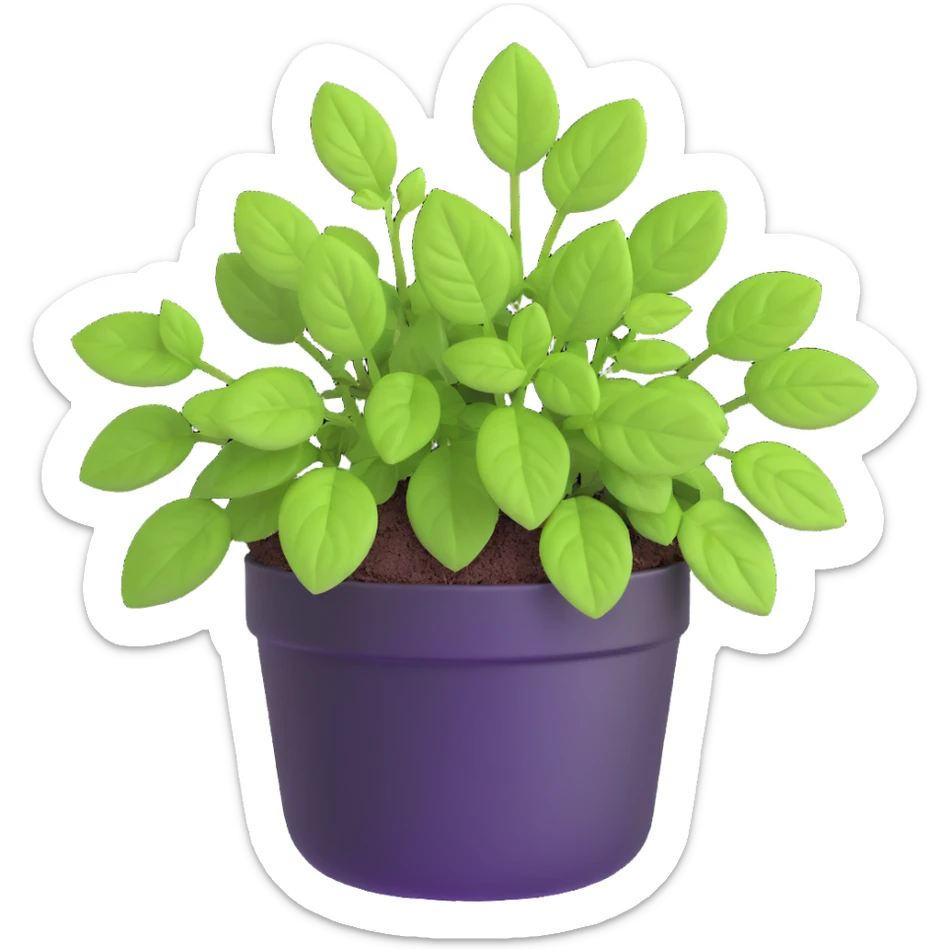 Small sprouts of Plectranthus Verticillatus with perfectly round leaves growing in a shiny metallic pot sticker