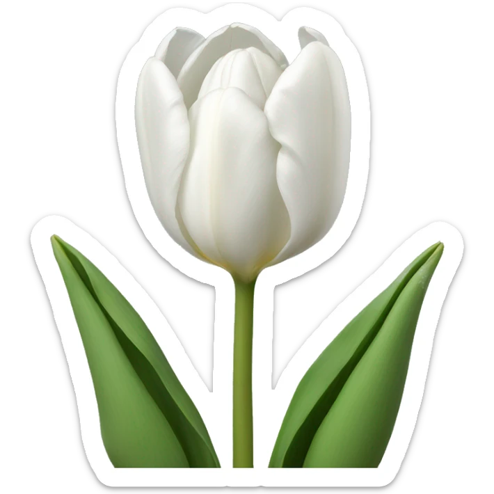 white tulips  sticker