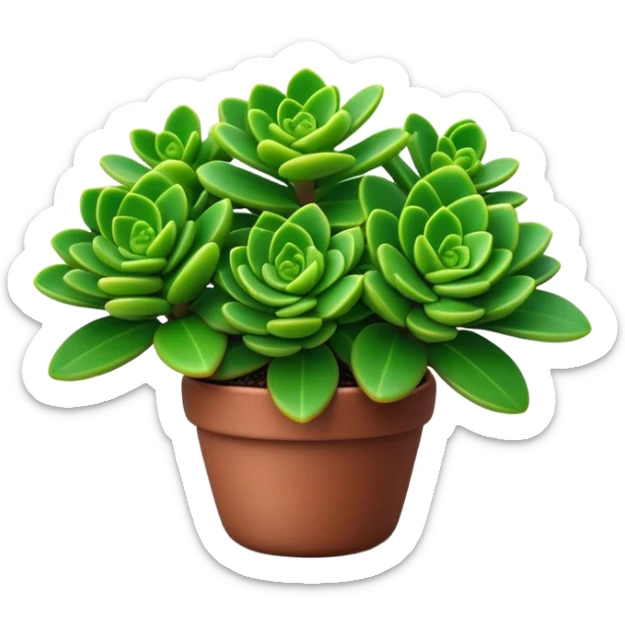 Cinematic Realistic Crassula Emoji, Compact and vibrant, with small, fleshy leaves arranged in thick, rounded clusters. The deep green hue of the leaves radiates calm, while their structured growth speaks of endurance. Soft glowing outline, capturing the essence of perseverance and tranquility in a crassula plant! sticker