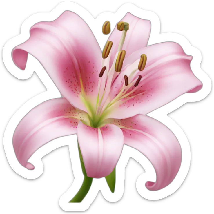 pink lily sticker