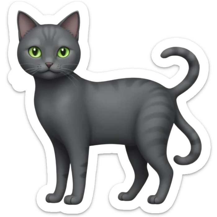 full body view of beautiful female solid dark grey cat with green eyes, grey face, white toes/paws and white patch on her chest sticker