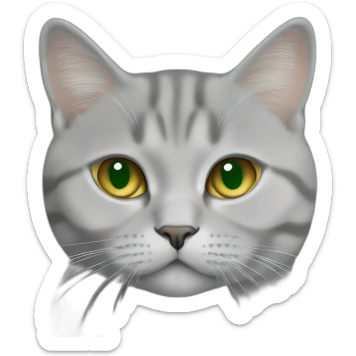 green eyes, golden british shorthair, and silver golden british shorthair kissing each other sticker