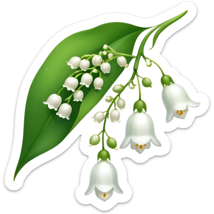 Elegant lily of the valley flower with delicate white bell-shaped blooms hanging from green stem and bright green leaves sticker