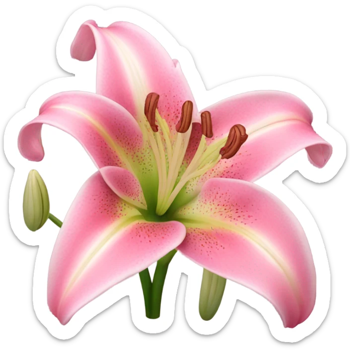 lily flower sticker