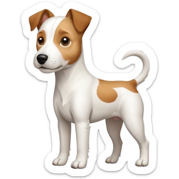 a full body large white parson russell looking dog the size of a kelpie with light brown flopped down ears and a light brown patch on one eye and a large snout sticker