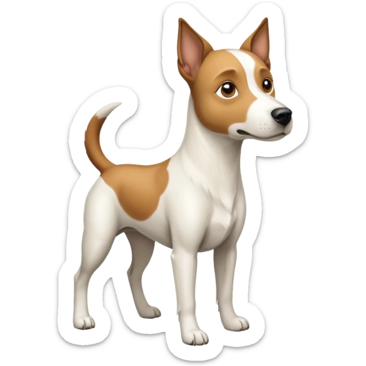a full body large white parson russell looking dog the size of a kelpie with light brown flapped down ears and a light brown patch on one eye and a large snout sticker