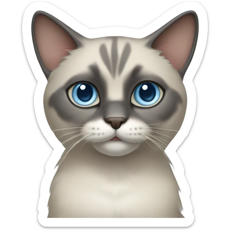 Thai breed cat with a  cream body, dark gray face, ears, and paws. Short fur, sharp ears, and striking light blue eyes with an intense gaze. sticker