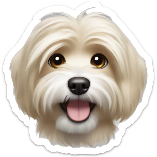 Havanese small dog with mostly light brown  fur with streaks of blonde fur and happy expression sticker