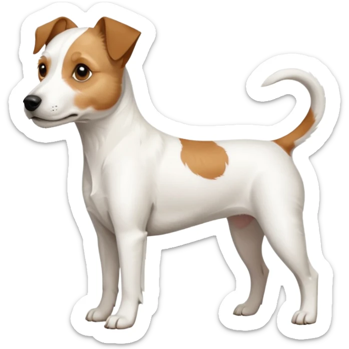 a full body white parson russell looking dog the size of a kelpie with light brown ears and a light brown patch on one eye and a large snout sticker