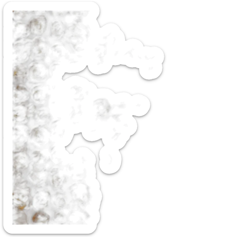 Фото 📷 sticker