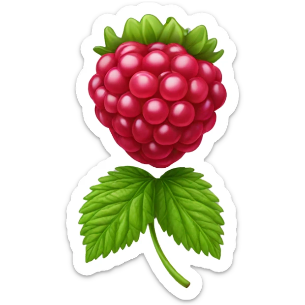 Raspberry  sticker