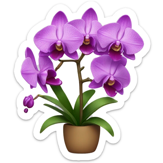 orchid sticker