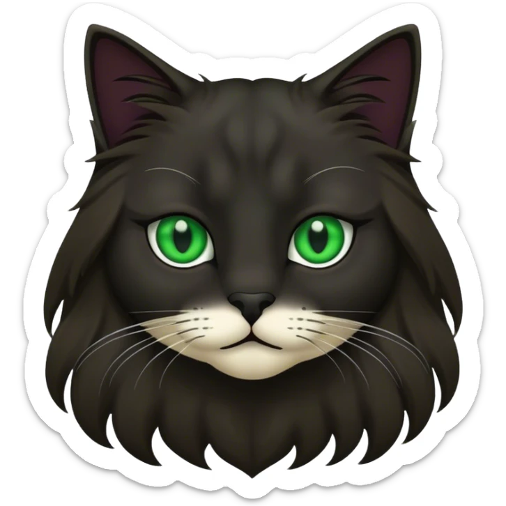 Chaton gros foncé poil long un nez noir avec des yeux vert  sticker