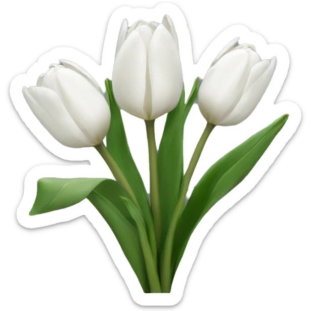White tulips  sticker