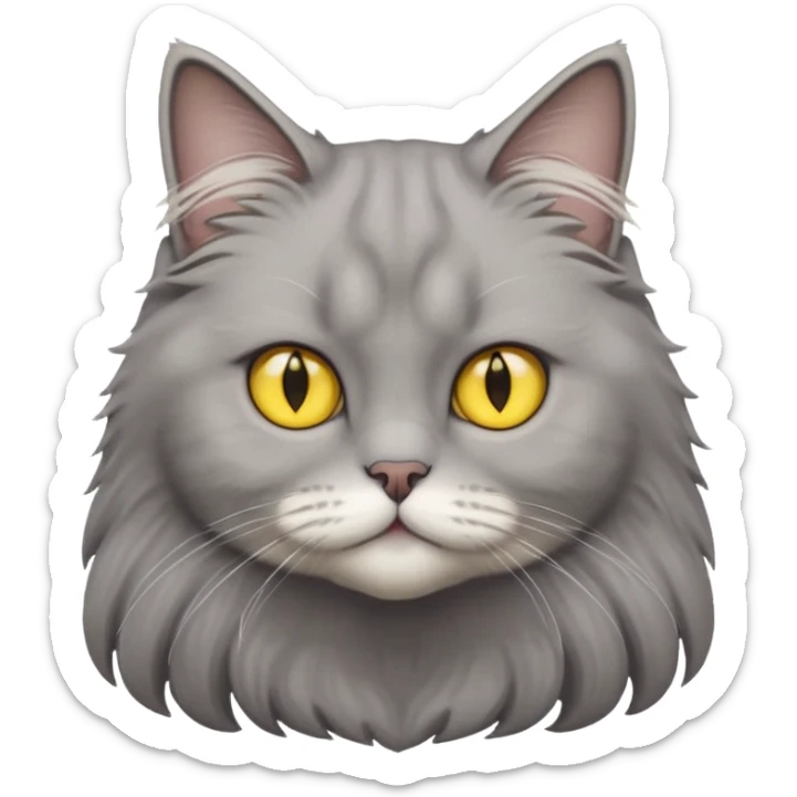 grey fluffy british long hair cat with yellow eyes cuteer without furr in the ears sticker
