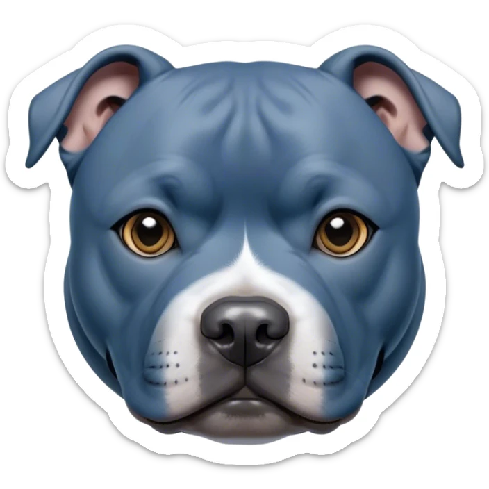 Cinematic Noble Blue Staffordshire Bull Terrier Portrait Emoji, Poised and regal, with a compact, muscular build and a sleek, well-groomed blue Fur, deep-set soulful dark eyes, Simplified yet sharp and sophisticated features, highly detailed, glowing with a soft, dignified glow, high shine, intelligent and loyal, stylized with an air of strength, focused and attentive, soft glowing outline, capturing the essence of a watchful and confident guardian, so majestic it feels as though it could stride out of the screen with effortless authority! sticker