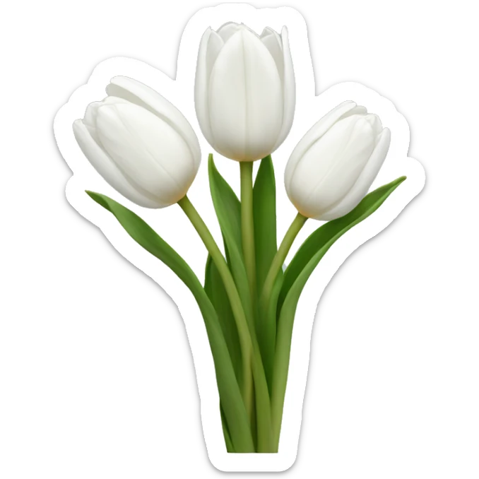 White tulips sticker