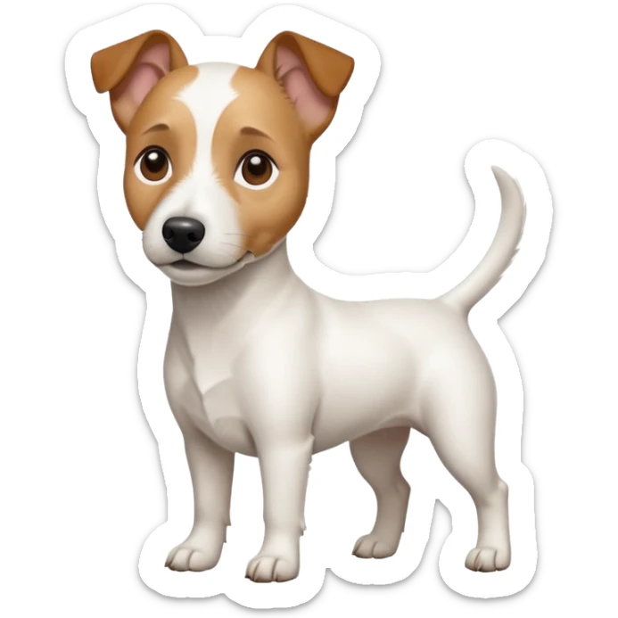 a full body white jack russel looking dog the size of a kelpie with light brown ears and a light brown patch on one eye and a large snout sticker