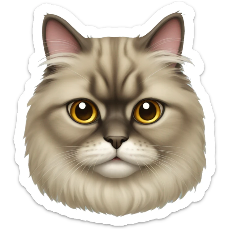 Persian cat sticker