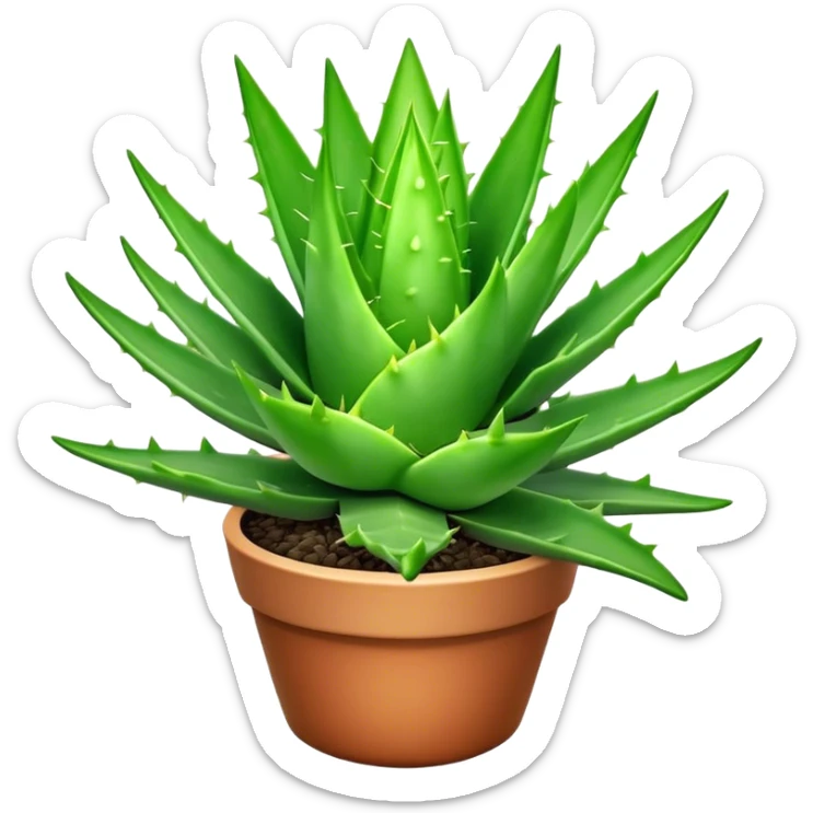 Cinematic Realistic Aloe Vera Emoji, Plump and succulent, with thick, fleshy leaves arranged in a star-like rosette. The vibrant green leaves have a slightly spiky texture, exuding a sense of resilience and healing. Soft glowing outline, capturing the essence of natural wellness and desert vitality in a flourishing aloe vera plant! sticker