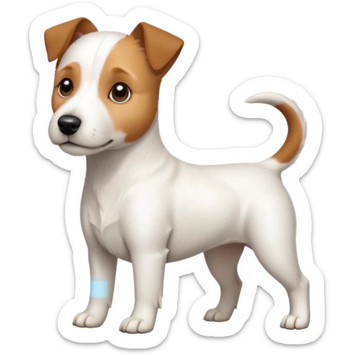 a full body slightly chubby white parson russell terrier looking dog the size of a kelpie with light brown long ears and a light brown patch on one eye and a large snout. the rest of the dog is completely white sticker