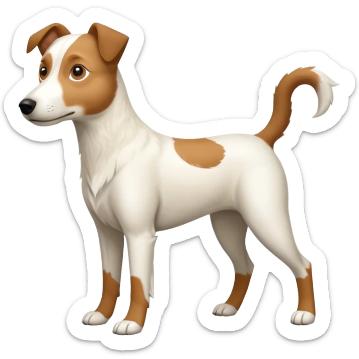 a full body large white parson russell looking dog the size of a kelpie with light brown flapped down ears and a light brown patch on one eye and a large snout sticker