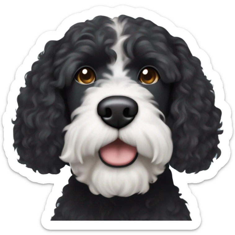 black Portuguese water dog with brown snout and white circle patch of hair on only top of head sticker