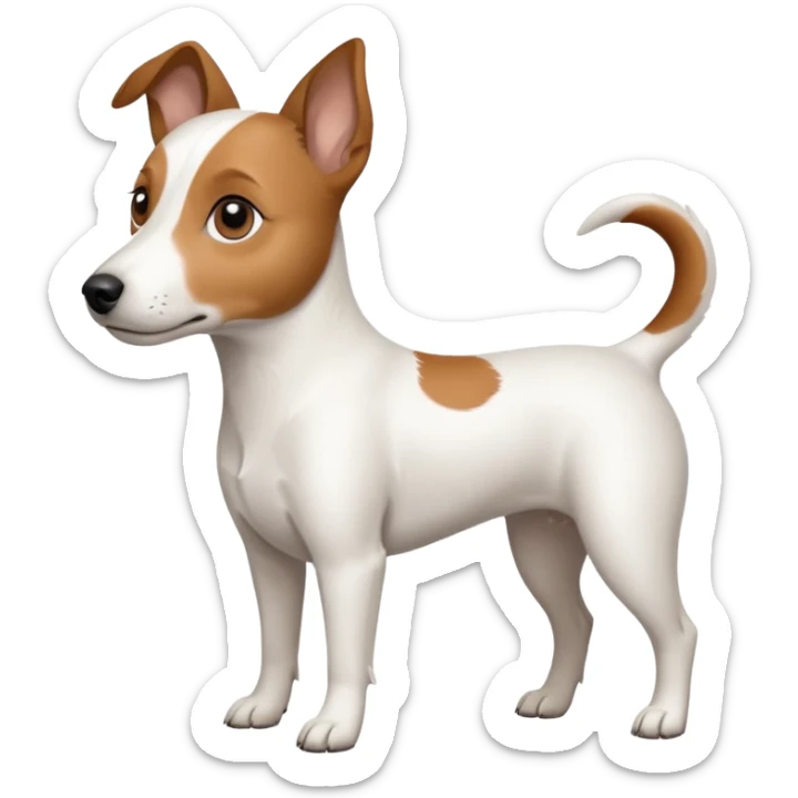 a fully white jack russell the size of a kelpie with light brown ears and a light brown patch on one eye sticker