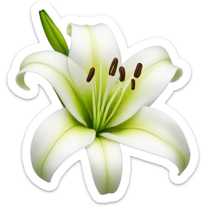 lily flower sticker