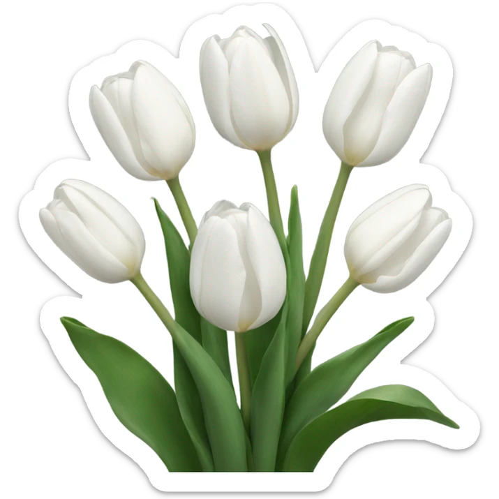 white tulips  sticker