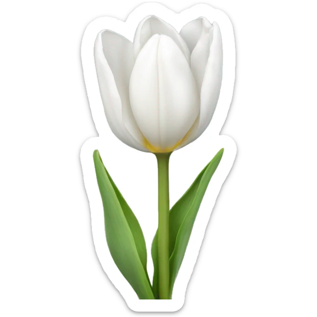 white tulip sticker