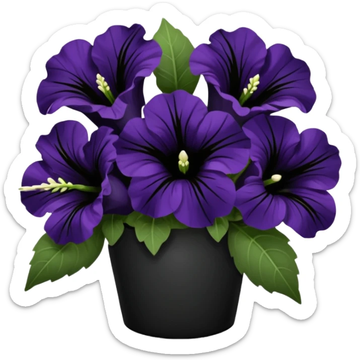 Realisti5 detailed beautiful bouquet of black color Petunia's sticker