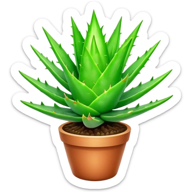 Cinematic Realistic Aloe Vera Emoji, Plump and succulent, with thick, fleshy leaves arranged in a star-like rosette. The vibrant green leaves have a slightly spiky texture, exuding a sense of resilience and healing. Soft glowing outline, capturing the essence of natural wellness and desert vitality in a flourishing aloe vera plant! sticker