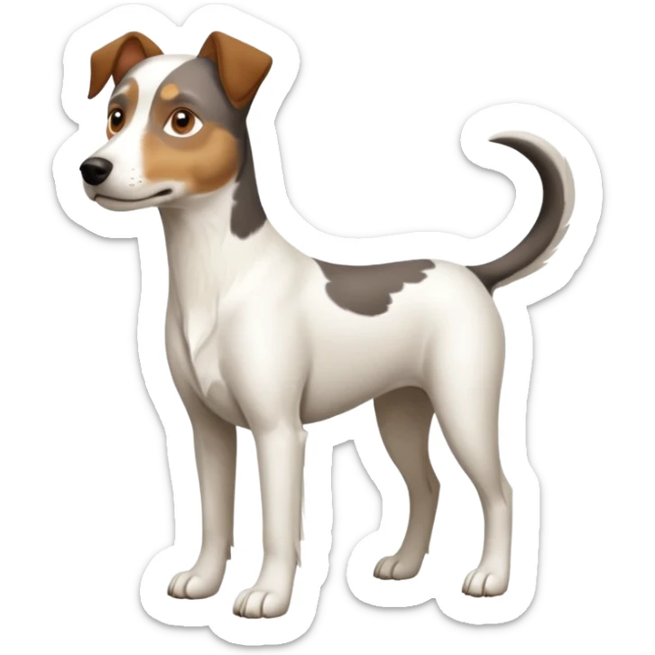 a full body large white parson russell looking dog the size of a kelpie with light brown ears and a light brown patch on one eye and a large snout sticker