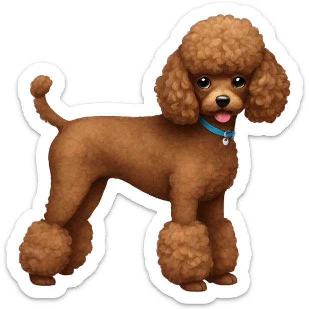 Brown toy poodle sticker