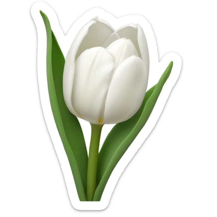 White Tulips  sticker