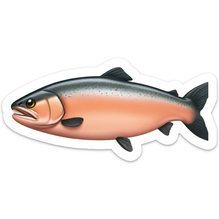 salmon sticker