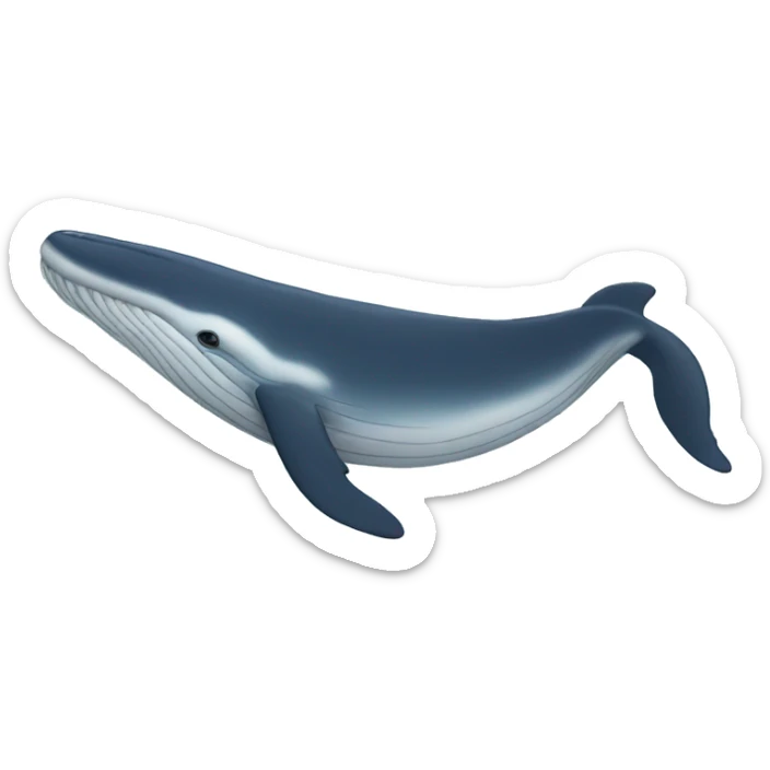 whale sticker